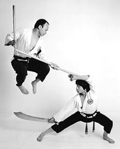 Grand Master using a 3-section staff